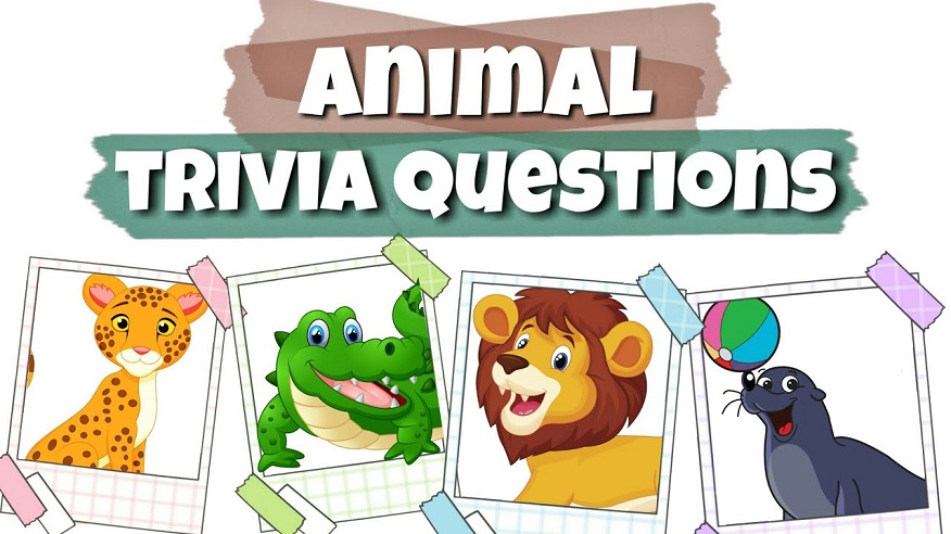 Funny animal trivia questions with answers